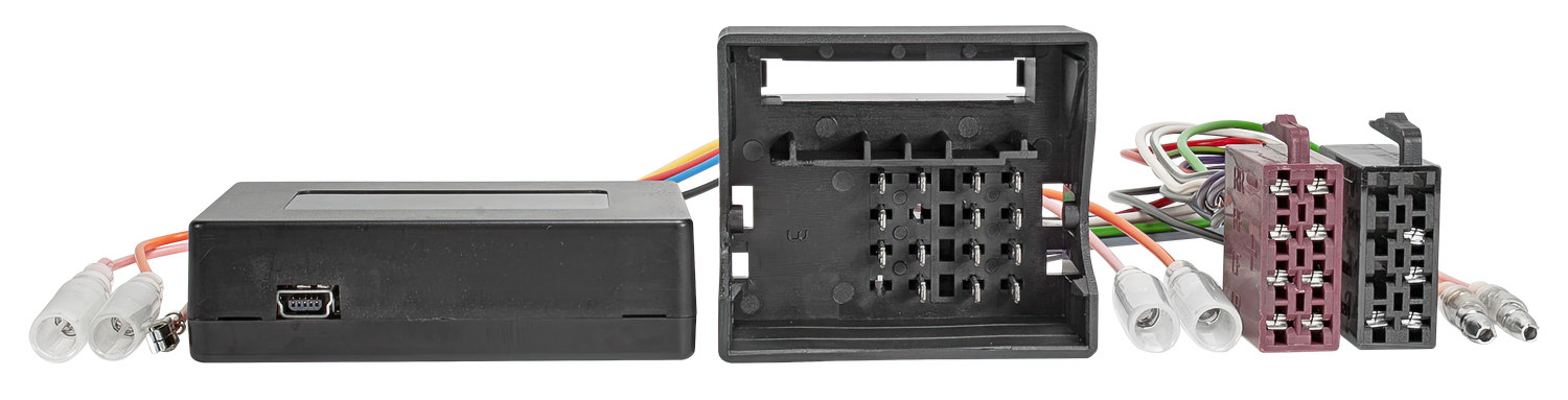CAN Bus Interface Adapter kompatibel mit Ford Galaxy Kuga Mondeo S-Max Ford Quadlock Zündplus Speedpuls Rückwärtsgang Radio-Kabelsatz