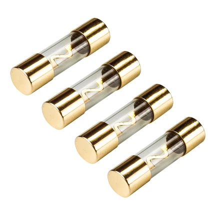 KFZ AGU Sicherung Glas 40A 10x38mm vergoldete Kontakte 4 Stück