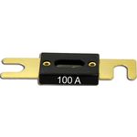 2 Stück - ANL Sicherung vergoldete Kontakte 100 Ampere 